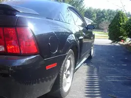 stang6.webp