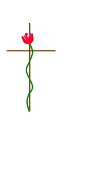 strypetat.webp