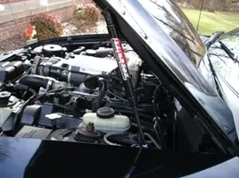 hood strut4.webp