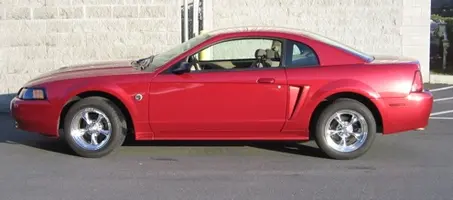 stang 9.webp