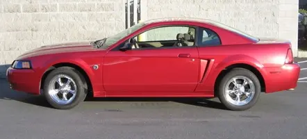 stang 10.webp