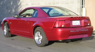 stang 11.webp