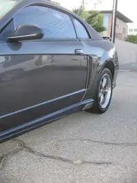 Mustang Side 1.webp