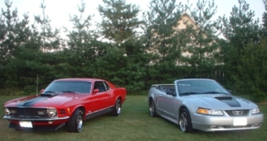 stangs.webp