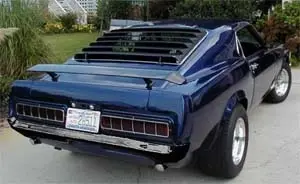 bumper1.webp