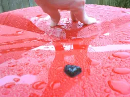 Pushed Down.webp