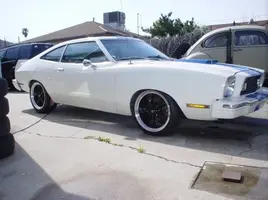 mustang 007 (2).webp