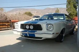 Mustang 104 (2).webp