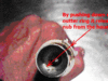 speedo cable  head end clip2.GIF