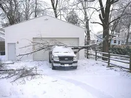 struck.webp