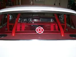 cage 3.webp