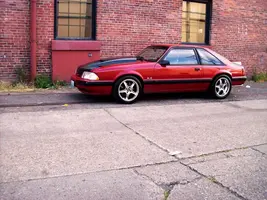 Mustang07102011c.webp