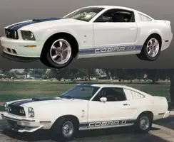 compare2.webp