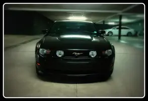 Mustang_1-001.webp