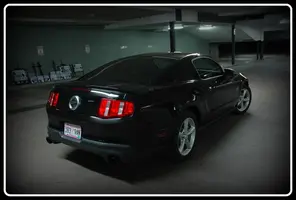 Mustang_3-1.webp