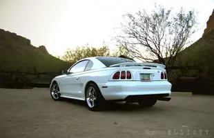 TortillaFlats_Rear.webp