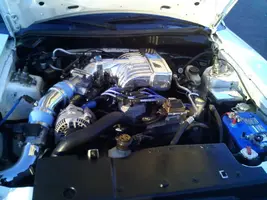 0625001916.webp