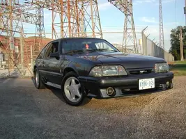 mystang1.webp