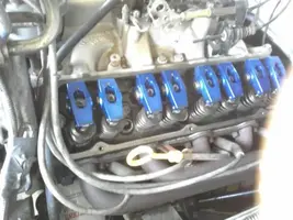 4lkRJ.webp