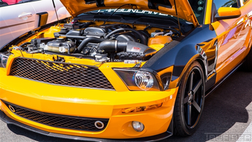 TC10024-NX1-2.webp