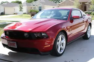 Stang2.webp