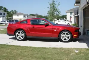 Stang1.webp