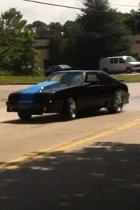 stang1.webp