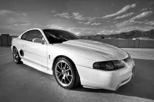 blackandwhitesideshotgood.webp