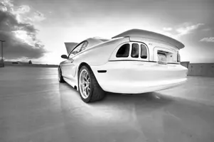 blackandwhiterearshot.webp
