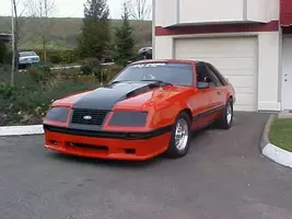 84saleennose.webp