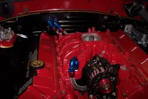 mustangbuild331.webp