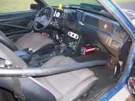 mustang2.webp