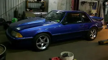 mustang4.webp