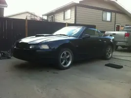 newcar004.webp
