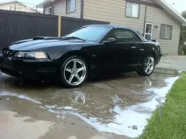 newcar024.webp