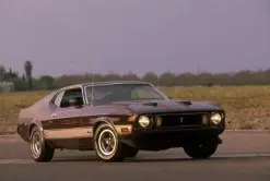 ord+s+new+2014+mustang+will+celebrate+mustang+s+50th+anniversary_3028_800599304_0_0_14029690_...webp