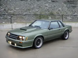 DSC00779.webp