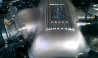 IMAG0014.webp