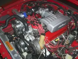 n511517890_6857_8919.webp