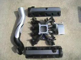 May2010055.webp
