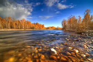 AutumnGallatin-1.webp