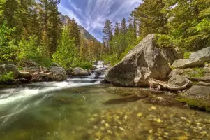 291e0c63.webp