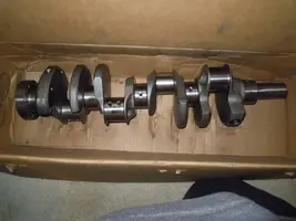 DSCN5082.webp