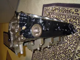 DSCN5049.webp
