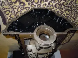 DSCN5066.webp