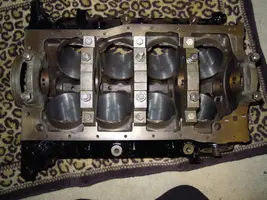 DSCN5064.webp