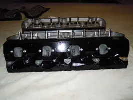 DSCN4995.webp