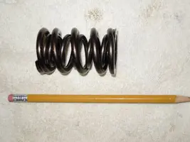 DSCN5030.webp