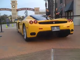 enzo3.webp