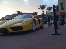 enzo2.webp